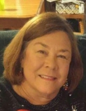 lynn stout