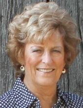 cecilia schmitz