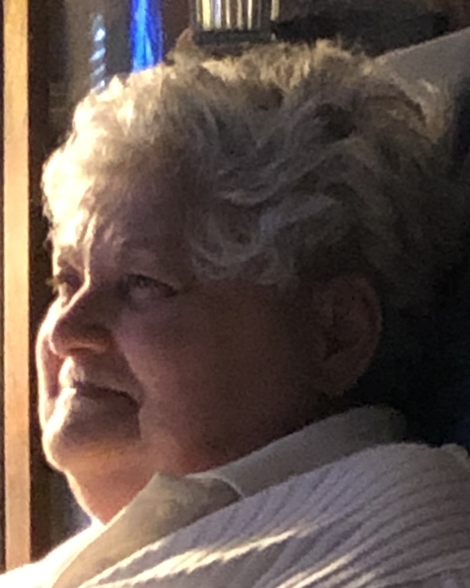 carol brockman